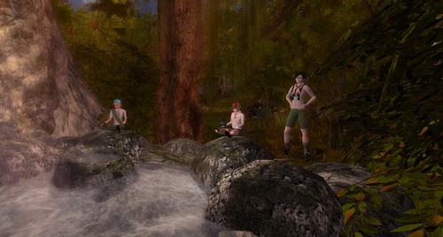 Camp Kawabata Home Of Scouts Of Second Life Blog Archive Bird 